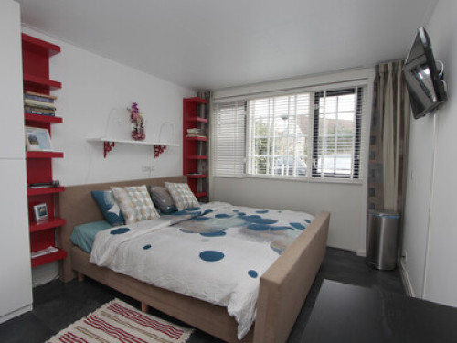Room, studio, chalet on a peninsula - Gallery - 54
