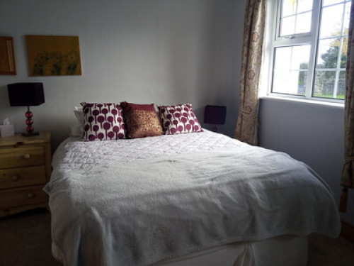 Comfy bedroom and cat therapy