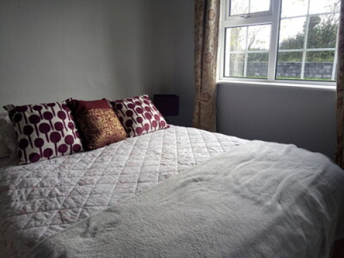 Comfy bedroom and cat therapy