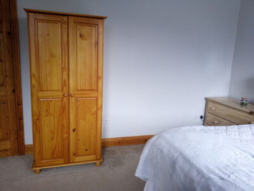 Comfy bedroom and cat therapy