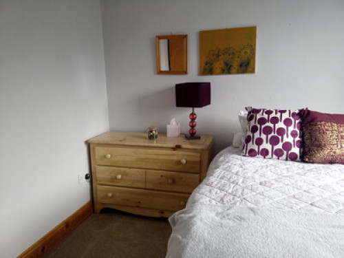 Comfy bedroom and cat therapy