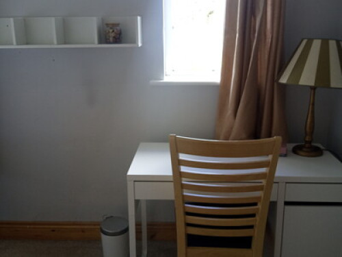 Comfy bedroom and cat therapy  - Gallery -  5