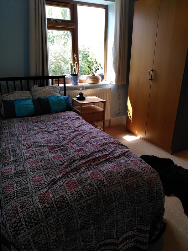 Blue Room(Full Room) - 1