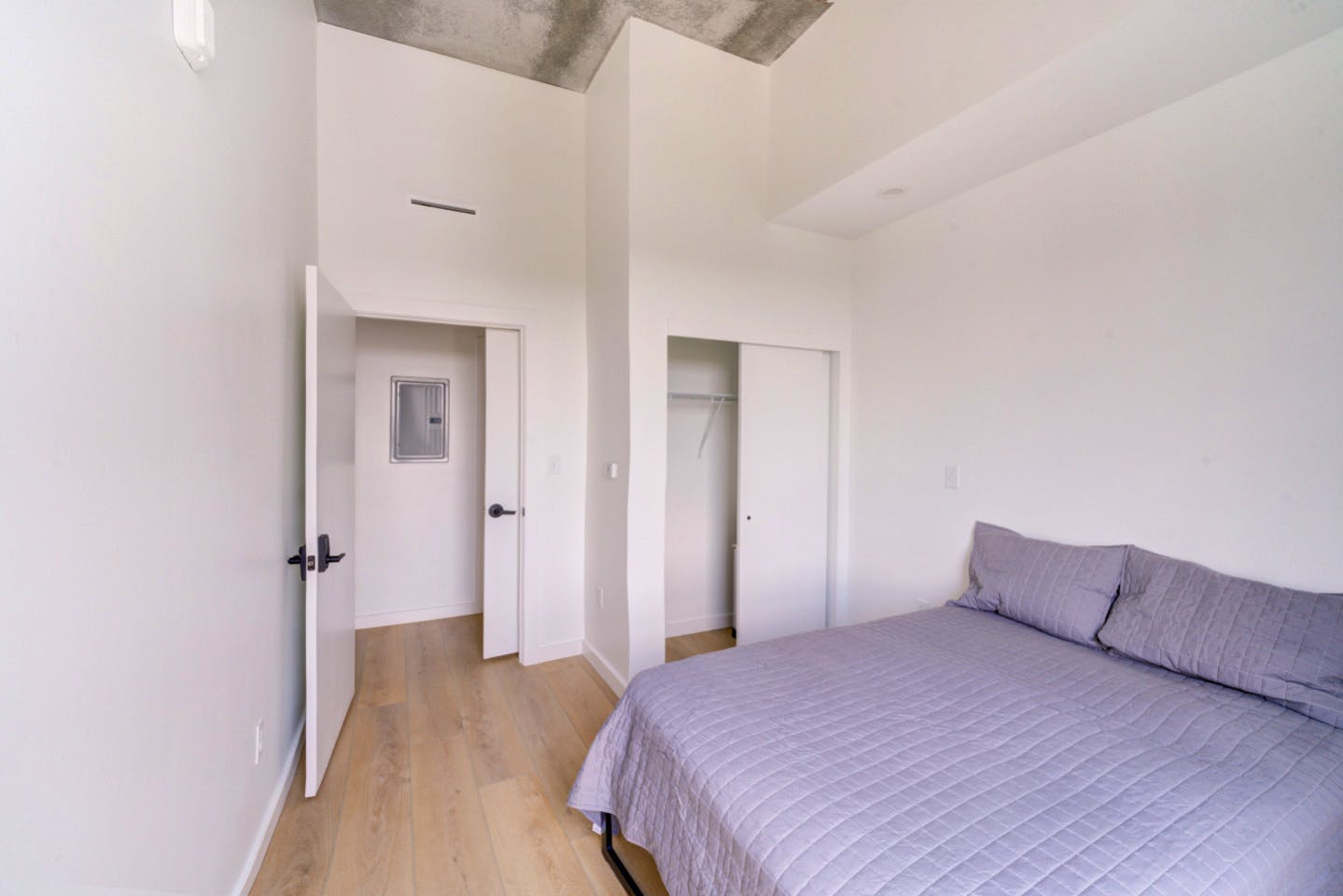 Furnished Room In Shared 3Bd 2Ba - Gorgeous 3 bed 2 ba in South End nearby New Bern Station Home - Gallery - 12