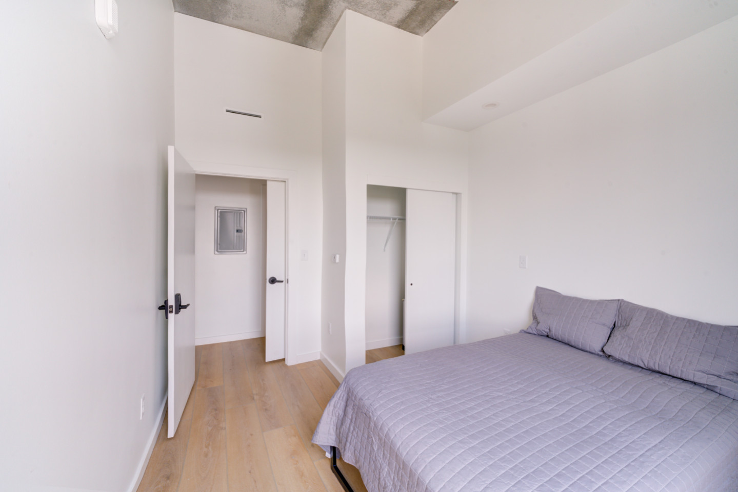 Furnished Room In Shared 3Bd 2Ba - Gorgeous 3 bed 2 ba in South End nearby New Bern Station Home - Gallery - 6