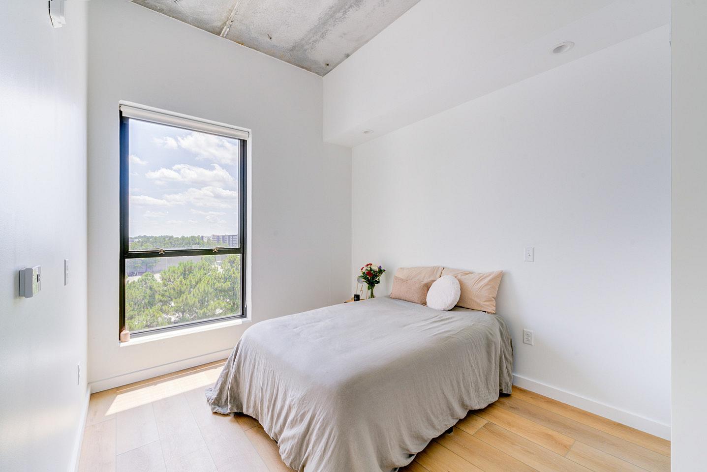  Ensuite Furnished Room In Shared 3Bd 2Ba  -  Gorgeous 3 bed 2 ba in South End nearby New Bern Station  - Gallery -  16