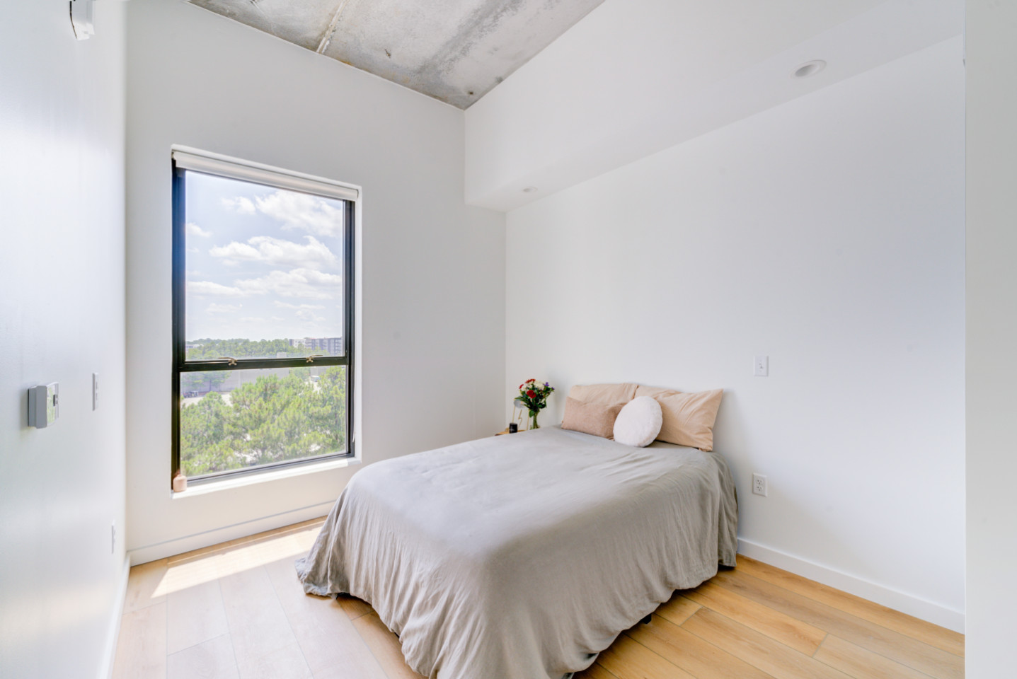  Ensuite Furnished Room In Shared 3Bd 2Ba  -  Gorgeous 3 bed 2 ba in South End nearby New Bern Station  - Gallery -  5