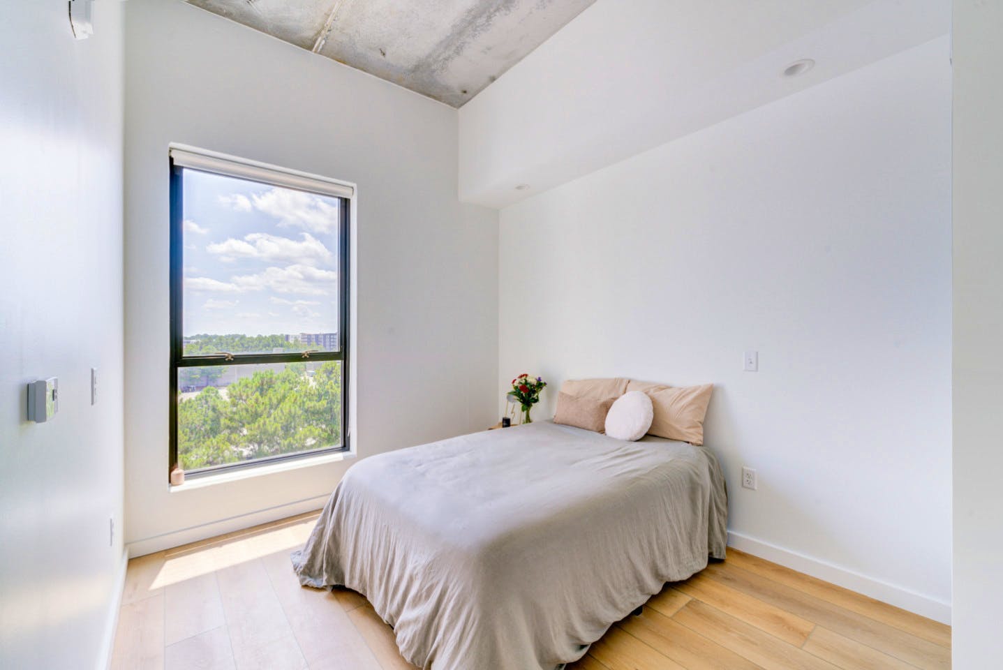 Ensuite Furnished Room In Shared 3Bd 2Ba - Gorgeous 3 bed 2 ba in South End nearby New Bern Station Home - Gallery - 1