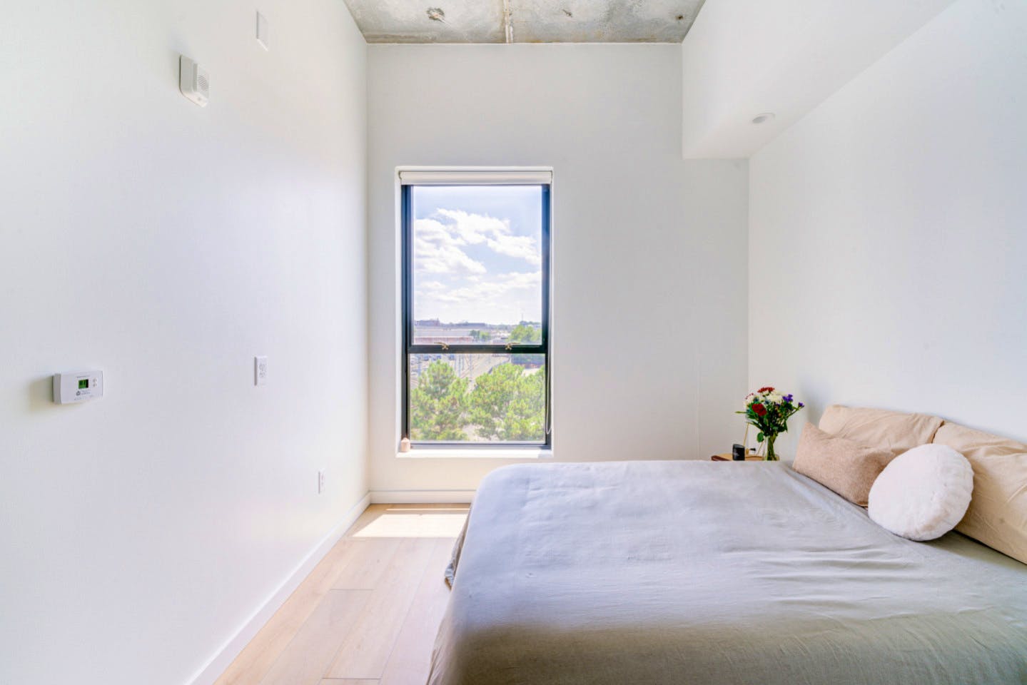 Ensuite Furnished Room In Shared 3Bd 2Ba - Gorgeous 3 bed 2 ba in South End nearby New Bern Station - Gallery - 8