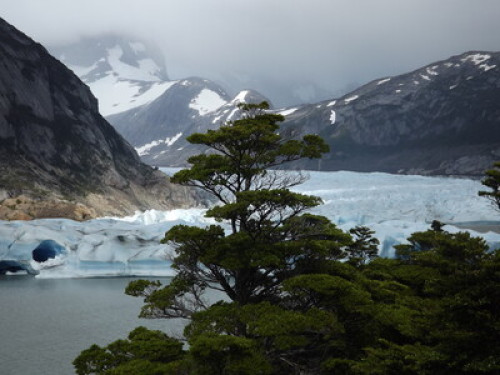 Glaciers & Wild Patagonia customs - Gallery - 22