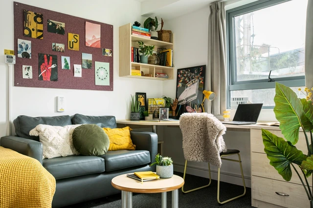  Double Wheelchair Accessible Studio  -  Blithehale Court Unite  - Gallery -  2
