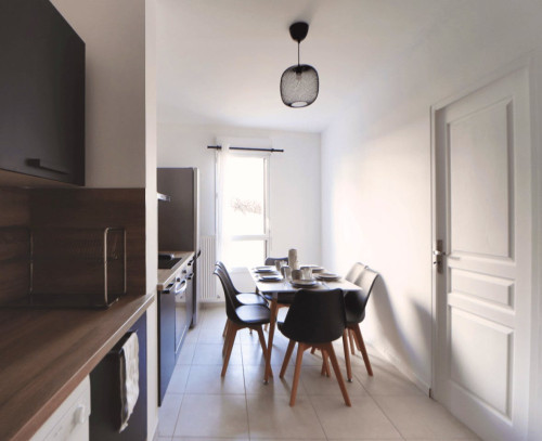 Vast 100 m² apartment in coliving in Villeurbanne