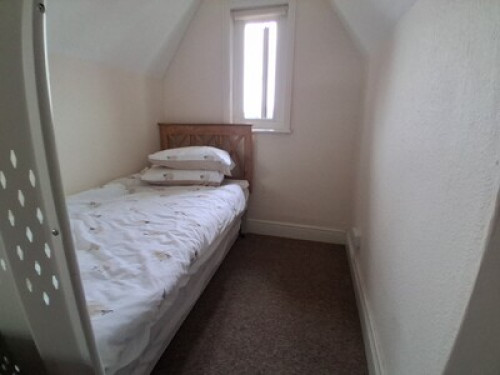 Peaceful and quiet hone