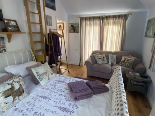 On the moor - Gallery - 10