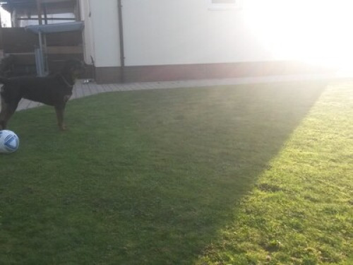 Separate Apartment with kitchen! 