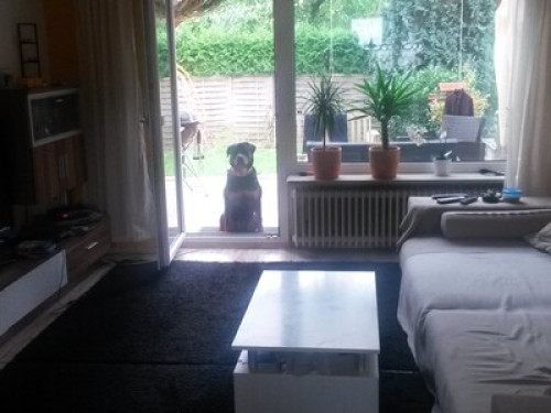 Separate Apartment with kitchen!   - Gallery -  5