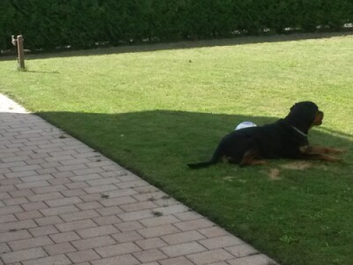 Separate Apartment with kitchen! 