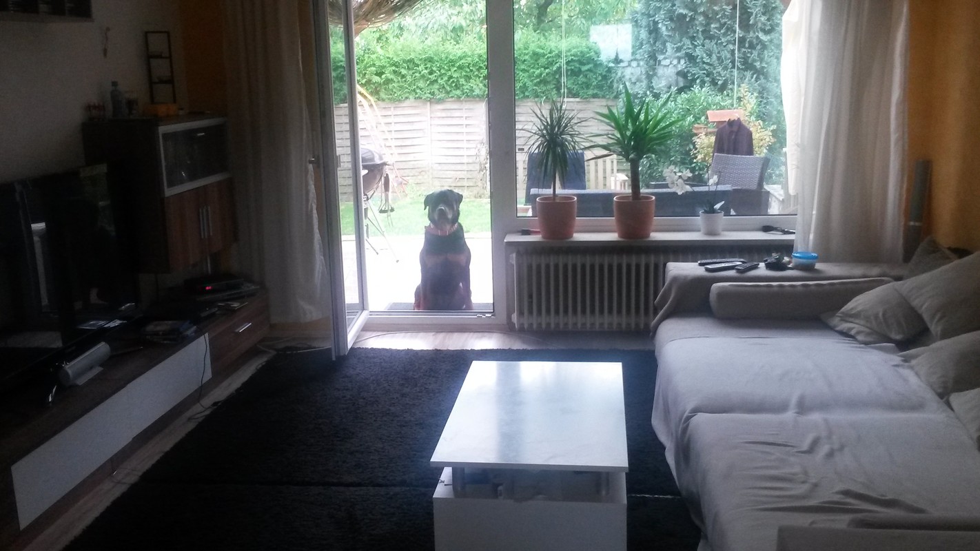  Apartment(Full Room)  -  Separate Apartment with kitchen!   - Gallery -  1