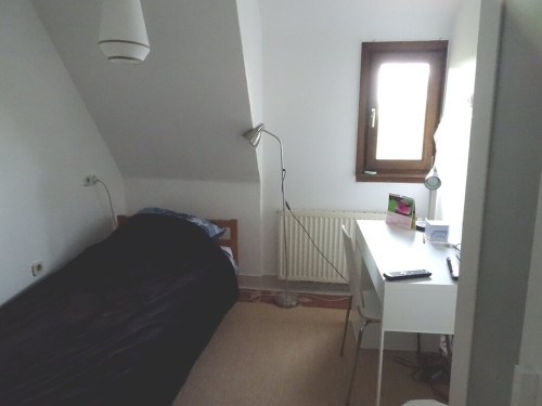 Our home In the hills of Heidelberg - Gallery - 2