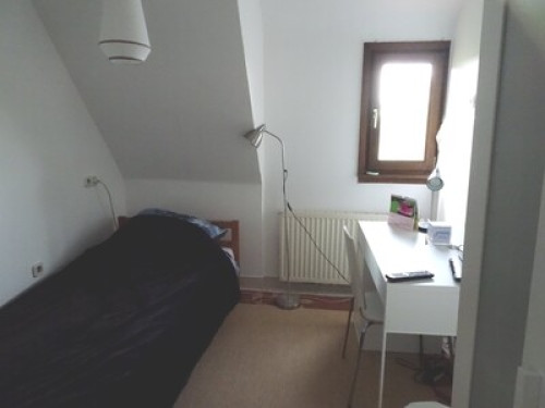 Our home In the hills of Heidelberg - Gallery - 3