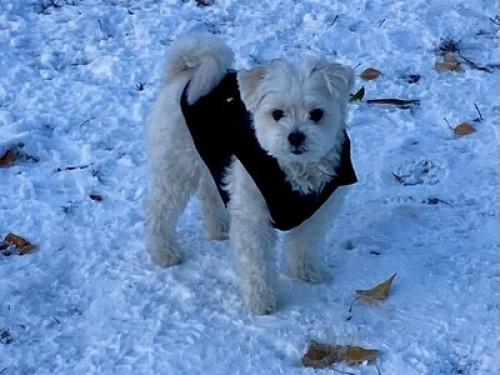 Cozy Bedroom in Shared Apartment 