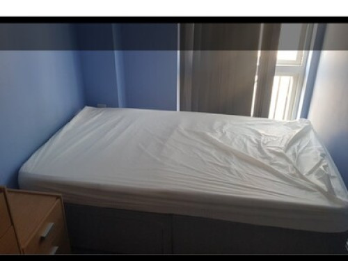 Single room - Gallery - 5