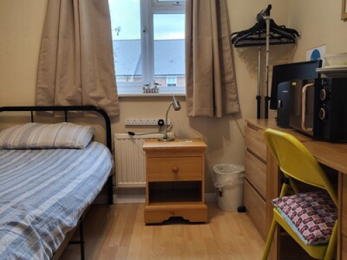 Hosts to International Students - Gallery - 8