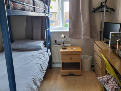 Hosts to International Students - Gallery - 7