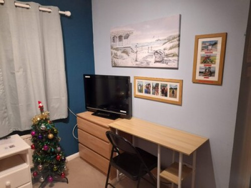 Hosts to International Students - Gallery - 17