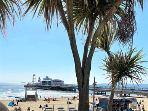 Cliftonville coast&Forest homestay - Gallery - 11
