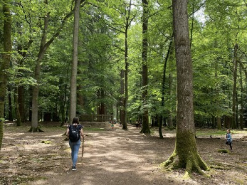 Cliftonville coast&Forest homestay - Gallery - 8