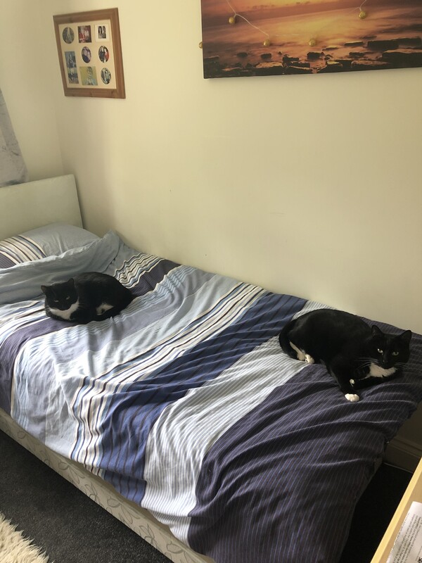 Twin Room, With Fitted Wardrobes, Fridge And Tv. 2 Single Beds. (Full Room) - Lovely home in nice area near sea - Gallery - 1