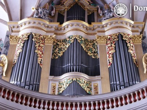 Room4travellers & students: Freiberg - Gallery - 7