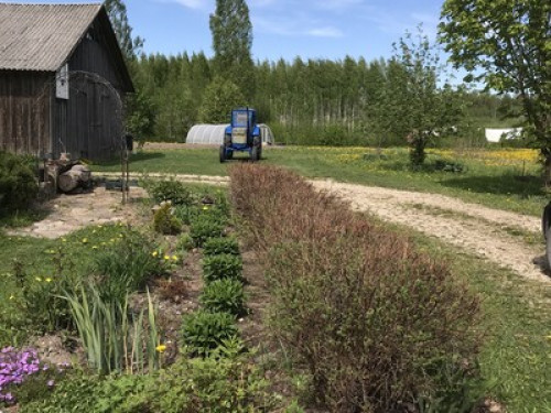 Country retreat 30 min from Riga