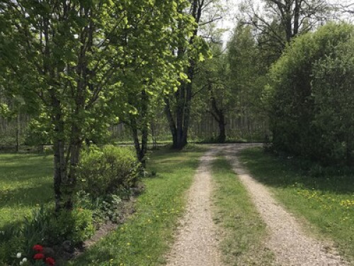 Country retreat 30 min from Riga - Gallery - 8