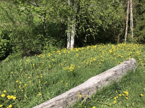 Country retreat 30 min from Riga - Gallery - 5