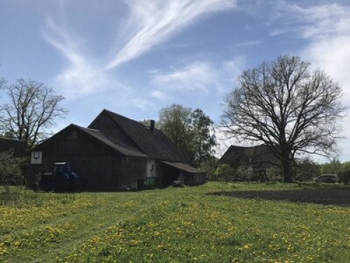 Country retreat 30 min from Riga - Gallery - 6