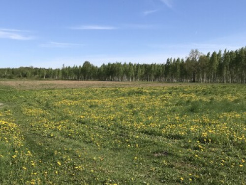 Country retreat 30 min from Riga - Gallery - 9