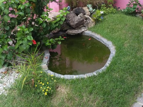 Comfort, quality and safe neighborhood