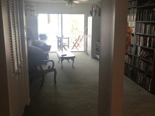 Great view of Lake Buchanon - Gallery - 6