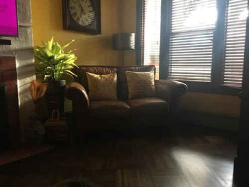 Casual Urban Oasis ! - Gallery - 6