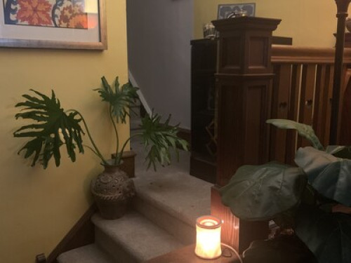 Casual Urban Oasis !