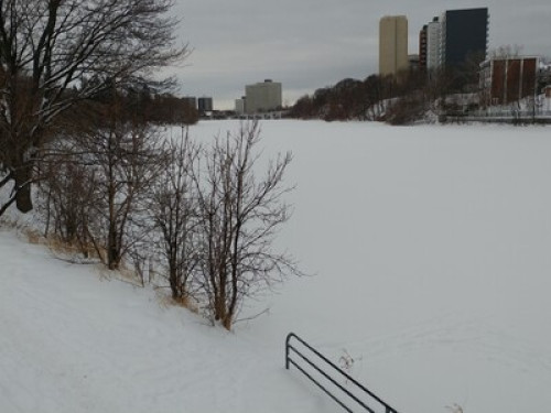 kingsview-area-bb-ottawa-140644264520240831042431AM
