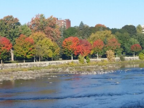 kingsview-area-bb-ottawa-46695470920240831042430AM