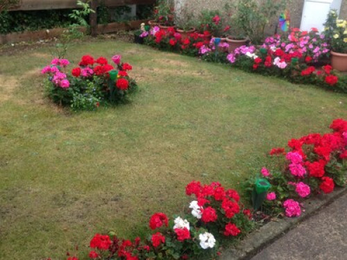 Nice home  for Females only***