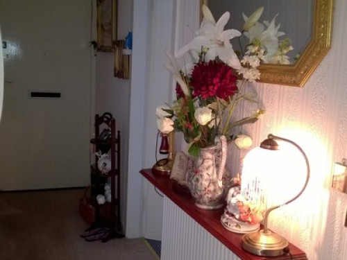 cosy-flat-females-only-edinburgh-159735949720240831051620AM