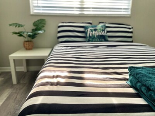 Cozy Stay in the Heart of Tampa