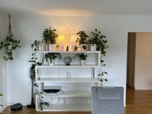 Central, spacious and pleasant.