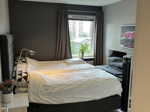 Central, spacious and pleasant. - Gallery - 9