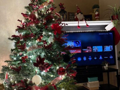 Comfortable Homestay in a Loving, G